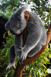 Similar image 1450281