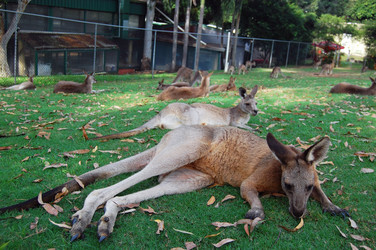 Similar image 1450292