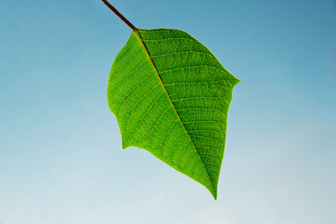 Similar image 1450349