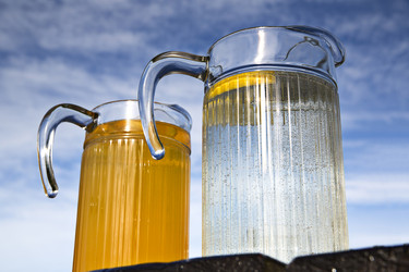 Similar image 1450356