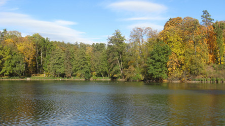 Similar image 1450422