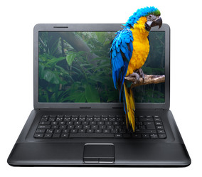 Similar image 1450457