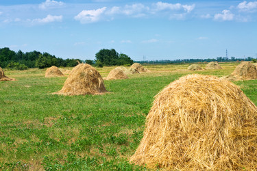 Similar image 1450488