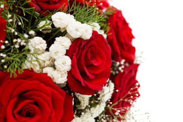 Similar image 1450492