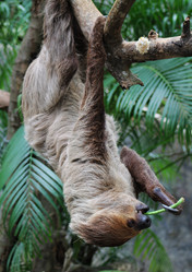 Similar image 1450502