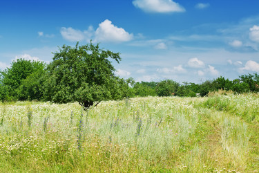 Similar image 1450510