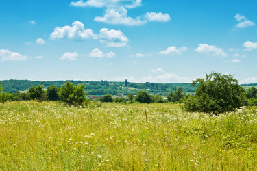 Similar image 1450511