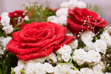 Similar image 1450515