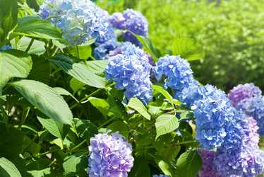 Similar image 1450522