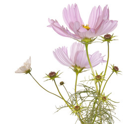 Similar image 1450543