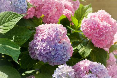 Similar image 1450548