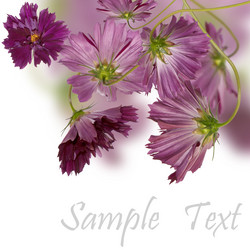 Similar image 1450583