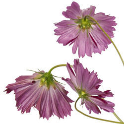 Similar image 1450584