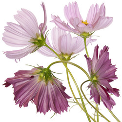 Similar image 1450585