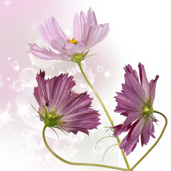 Similar image 1450587