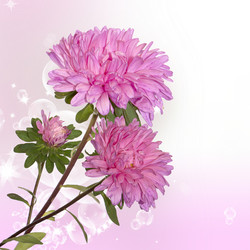 Similar image 1450588