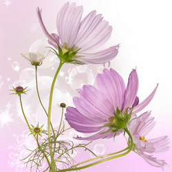 Similar image 1450589