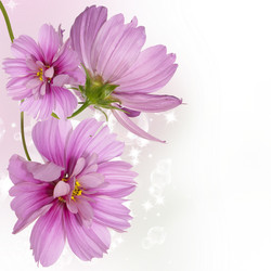 Similar image 1450590