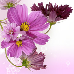 Similar image 1450591