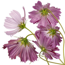 Similar image 1450592