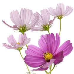 Similar image 1450599