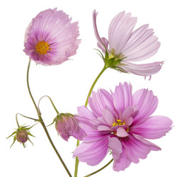 Similar image 1450600