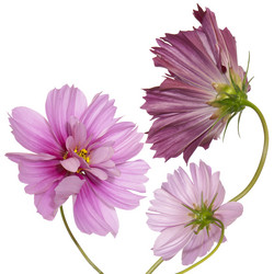 Similar image 1450601