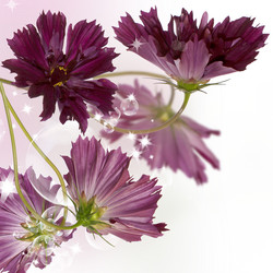 Similar image 1450602