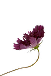 Similar image 1450604