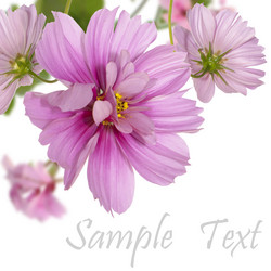 Similar image 1450611