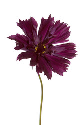 Similar image 1450612