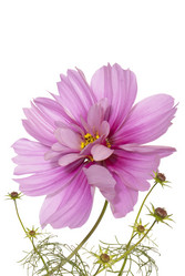 Similar image 1450615