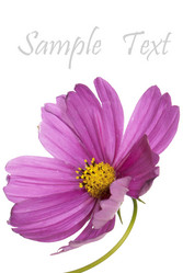 Similar image 1450620