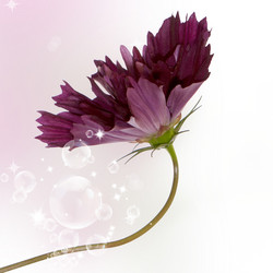 Similar image 1450652