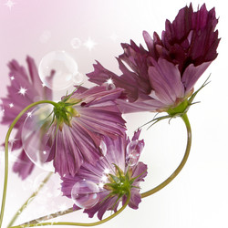 Similar image 1450653