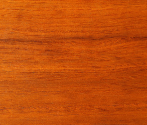 Similar image 1450671