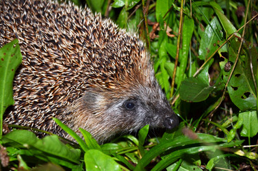 Similar image 1450682