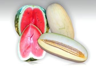 Similar image 1450683