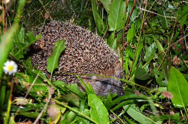 Similar image 1450702