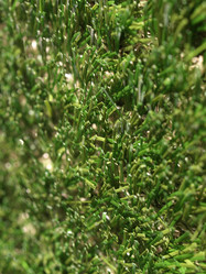 Similar image 1450755