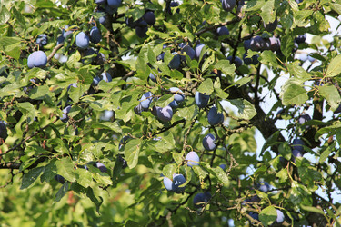 Similar image 1450784