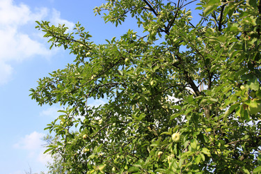 Similar image 1450785