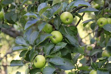 Similar image 1450792