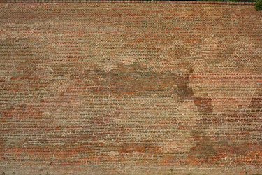 Similar image 1450950