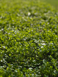 Similar image 1450952