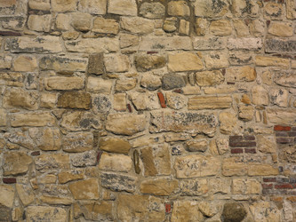 Similar image 1450954