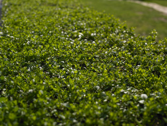 Similar image 1450957