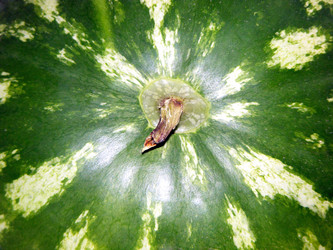 Similar image 1451006