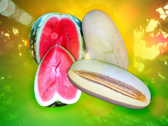 Similar image 1451008