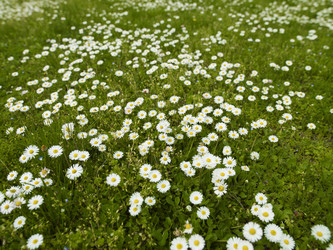 Similar image 1451046